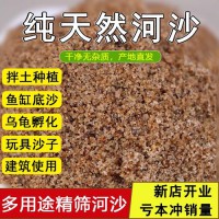 天然河沙粗沙细沙养花沙子种植土鱼缸底砂儿童玩具沙子建筑用黄沙