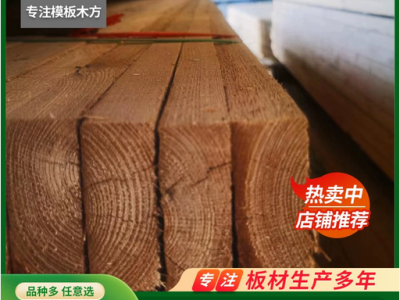 建筑模板木条木龙骨