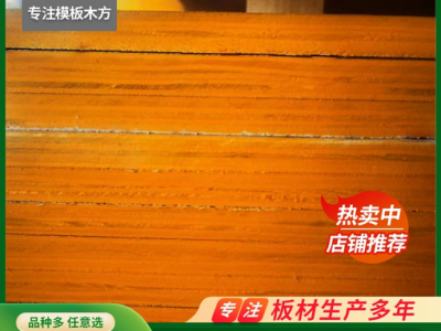 建筑模板家装建材多层实木板